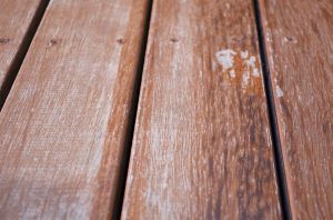 Wood Deck care