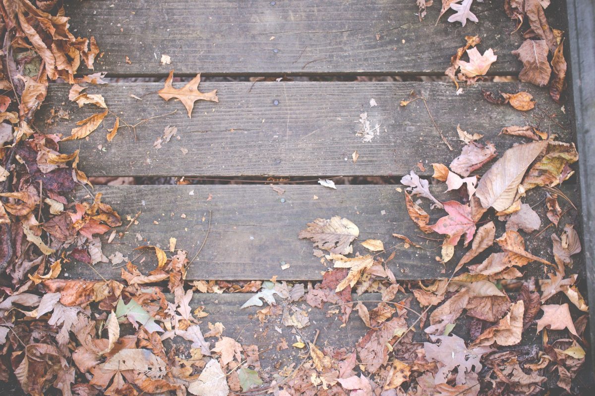 Deck in the fall 