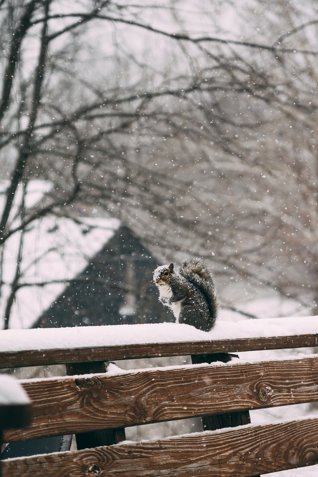  How To Keep Ice Off Your Deck